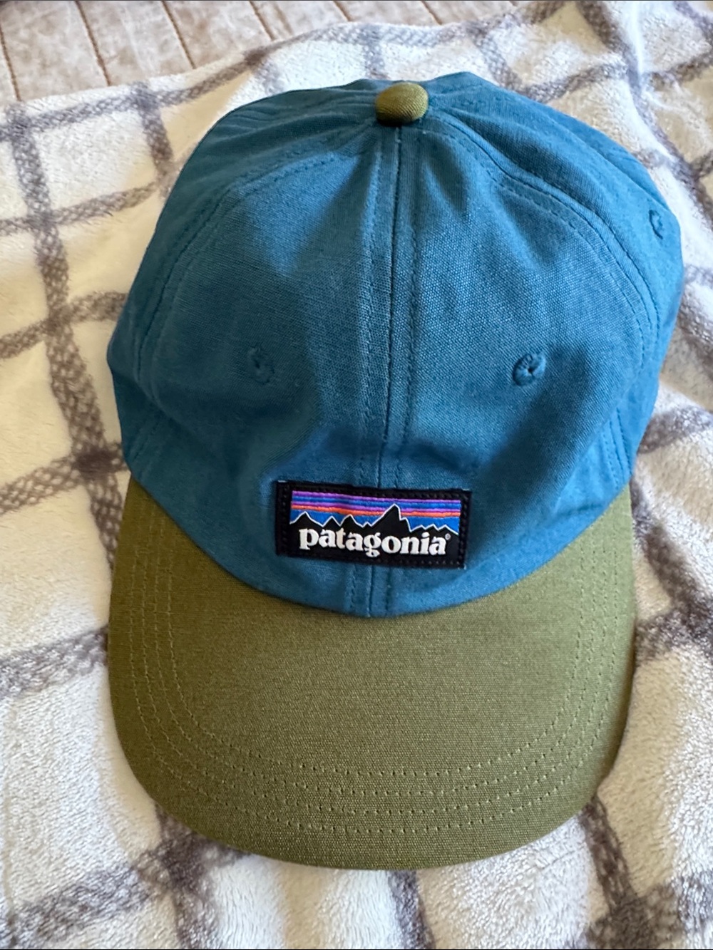 Patagonia Teal & Olive Two-Tone Baseball Cap